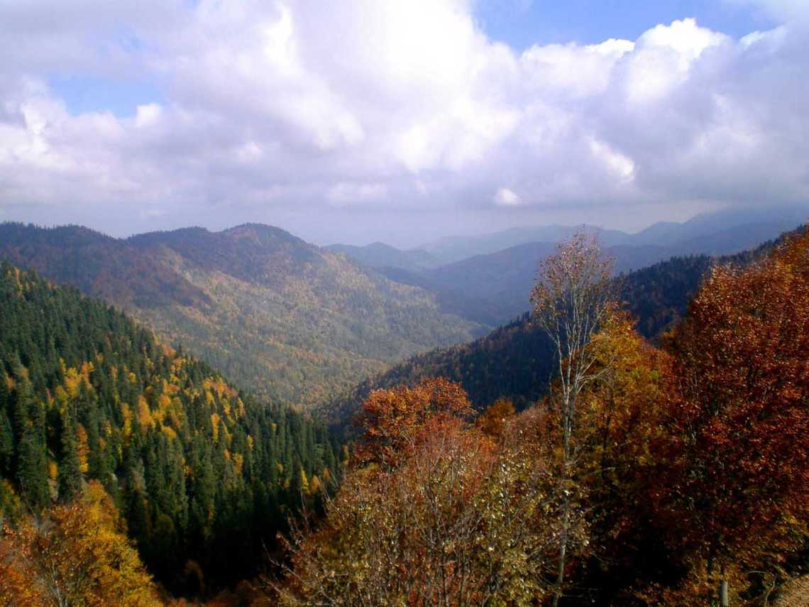 bolu yedigoller trekking sonbahar manzara